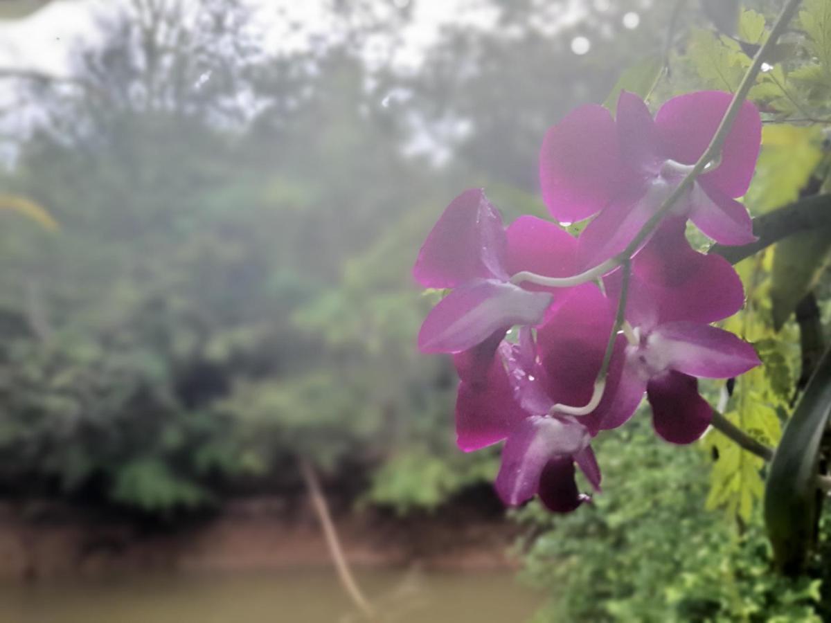 Baan Thabthong Homestay Ban Pak Nam  Buitenkant foto